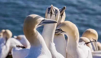 浙江财通证券排名几