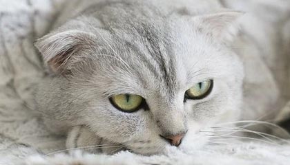 海通证券和海通国际有什么区别？(海通国际和海通证券什么关系)