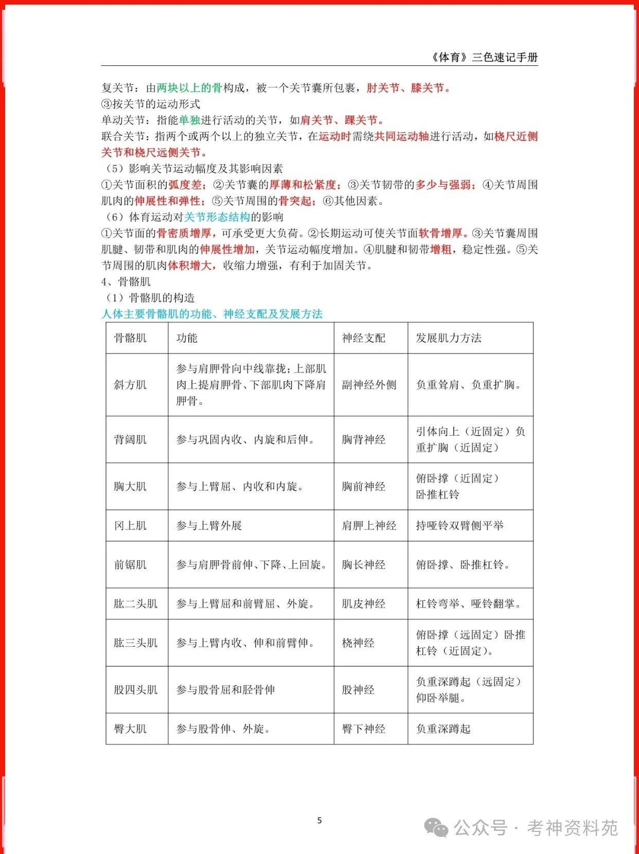 2024下初中体育教资笔试三色学霸笔记重点汇总