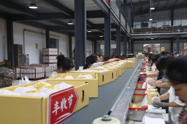 在拼多多单月卖出5000吨莱阳梨,95后新农人为何“收编”果园?