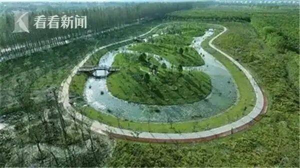 “我的探秘,才刚刚开始”成绝响!“海绵城市”之父俞孔坚巴西坠机遇难!其理念已在上海推进多年