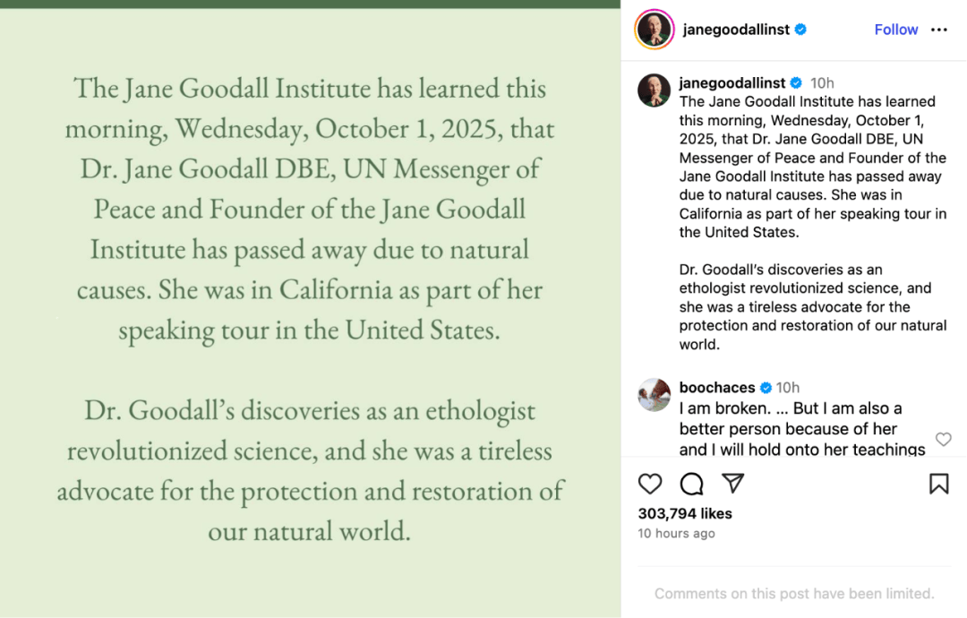 珍·古道尔：她无法看着动物受苦，就像没法看着人类受苦｜逝者