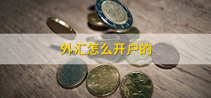 炒外汇怎样开户(我想炒外汇怎么开户)