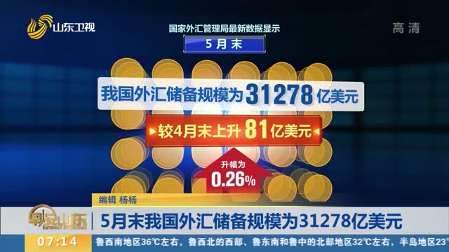 山东外汇(山东外汇诈骗案例)