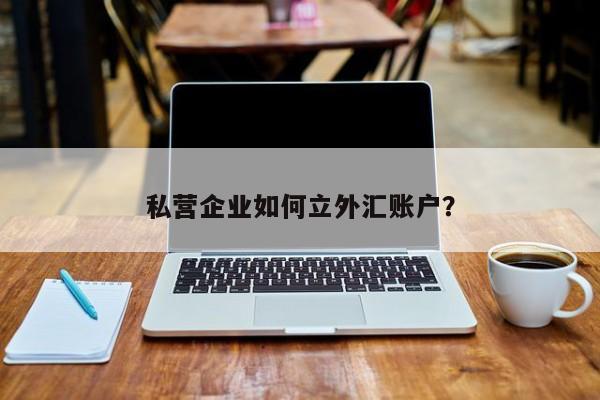 开设外汇平台(开设外汇平台的意义)