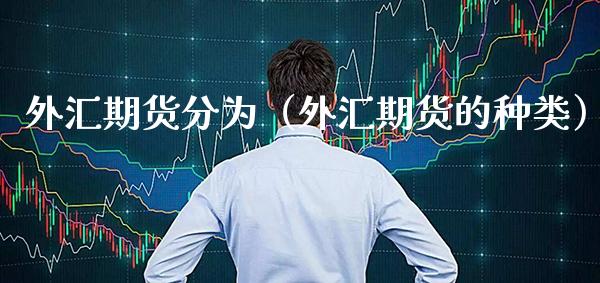 外汇交易额(外汇交易员的真实收入)