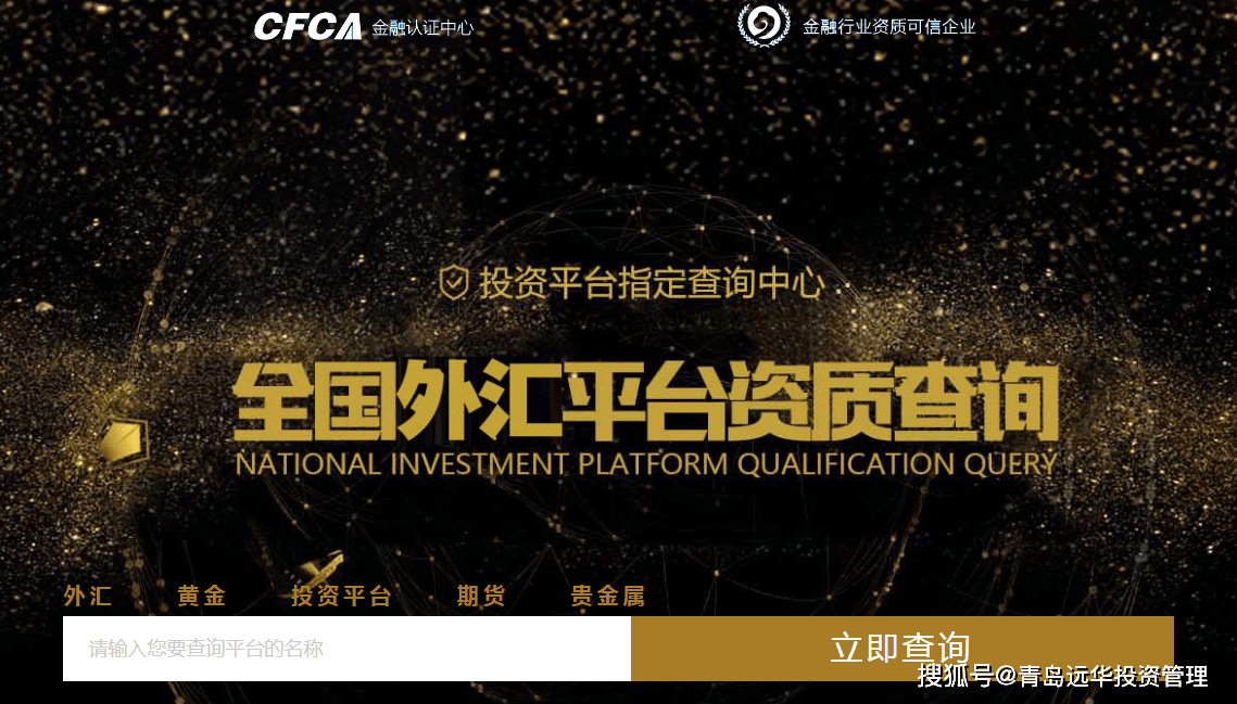 外汇国内平台(国内外汇平台正规排行榜精编版)