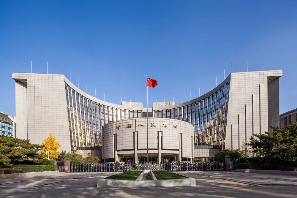 国际外汇监管机构(外汇监管只有哪几个国家)