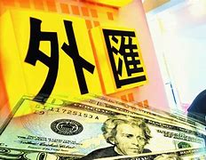 外汇升高(外汇升高降低的影响)