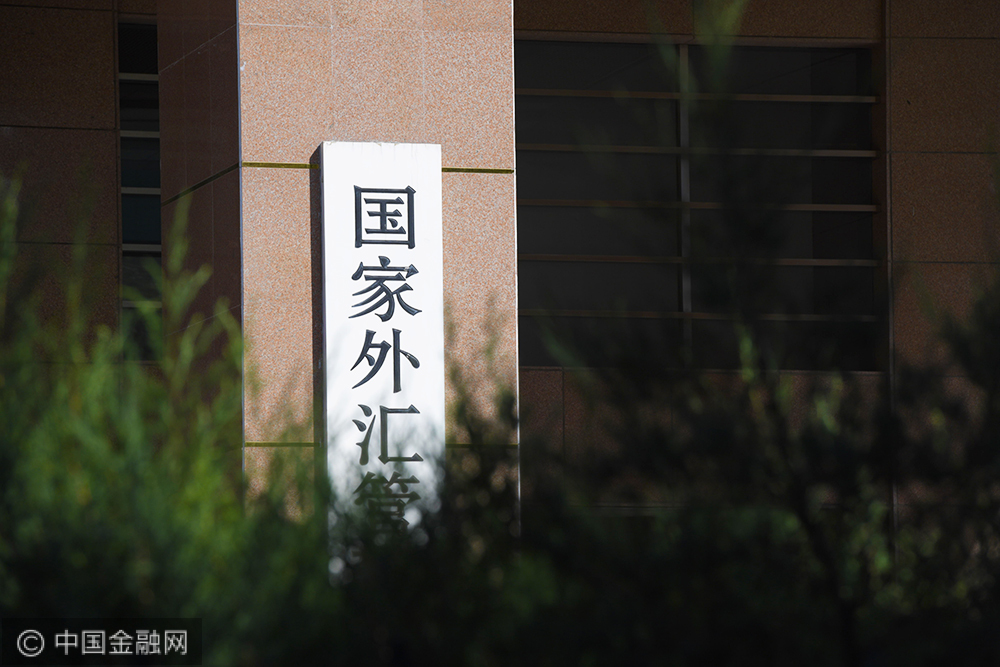 管理局外汇(外汇管理局数字外管)