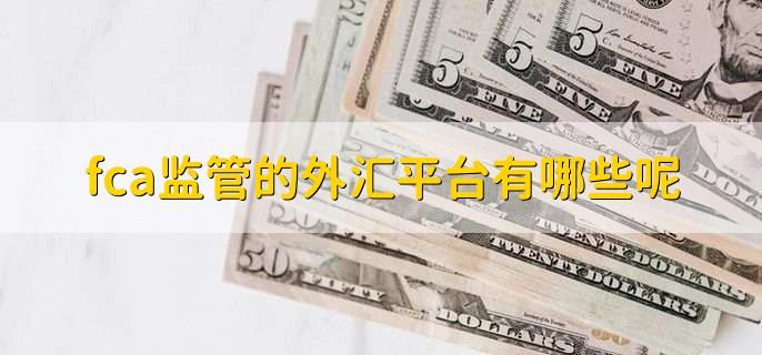 外汇监管有哪些(外汇监管有哪些公司)
