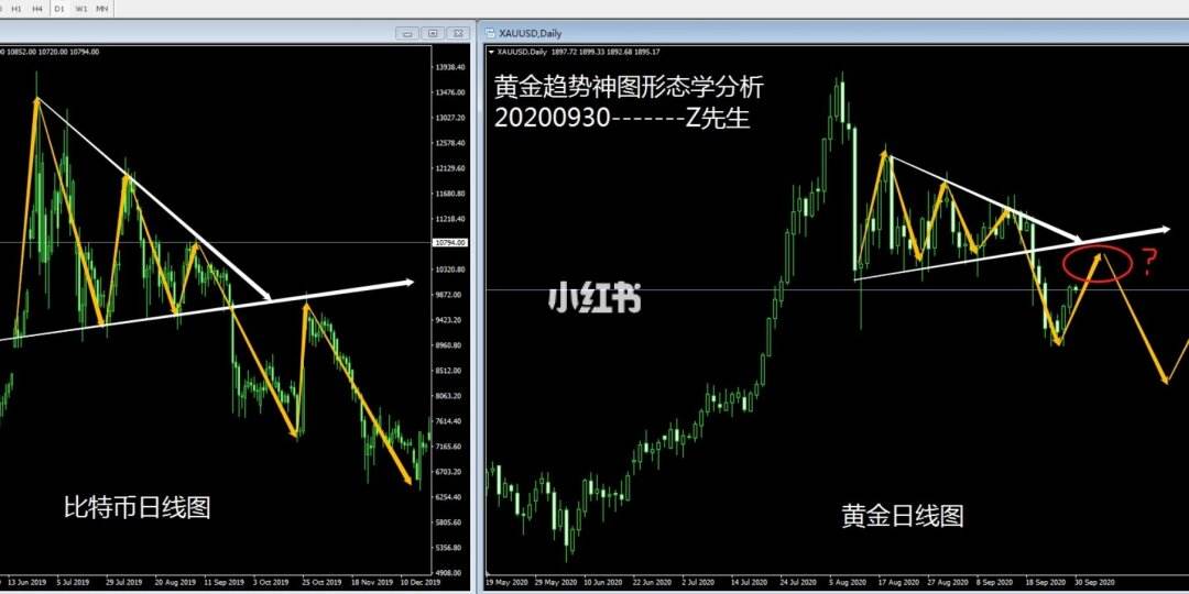 外汇思路(外汇实战操作视频)