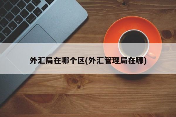 外汇业务管理(外汇业务管理,主要针对)