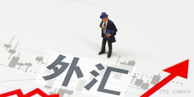 外汇监管有哪些(外汇监管有哪些机构)