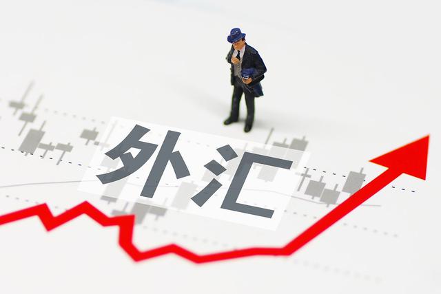 外汇业务操作(外汇业务操作风险)