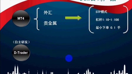 stp外汇(stp外汇券商)