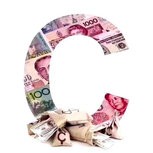 跨境外汇(跨境外汇支付牌照 30家)