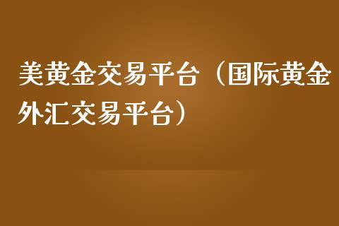 炒黄金外汇平台(炒黄金外汇十大平台)