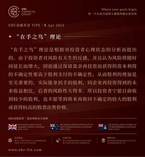 外汇代理网(国内外汇代理)