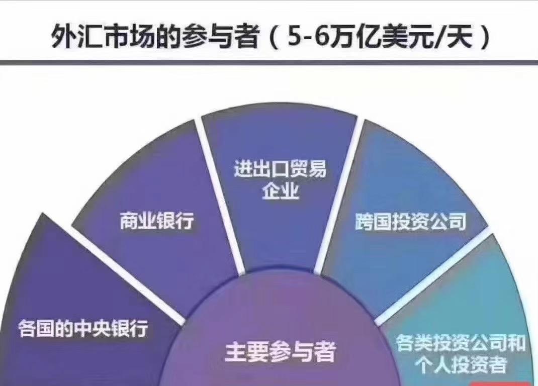 外汇包括哪些(外汇包括哪些价值形态)