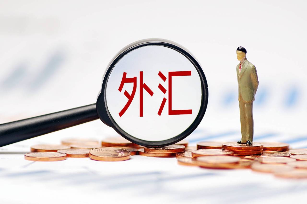 怎么投资外汇(怎么投资外汇app)