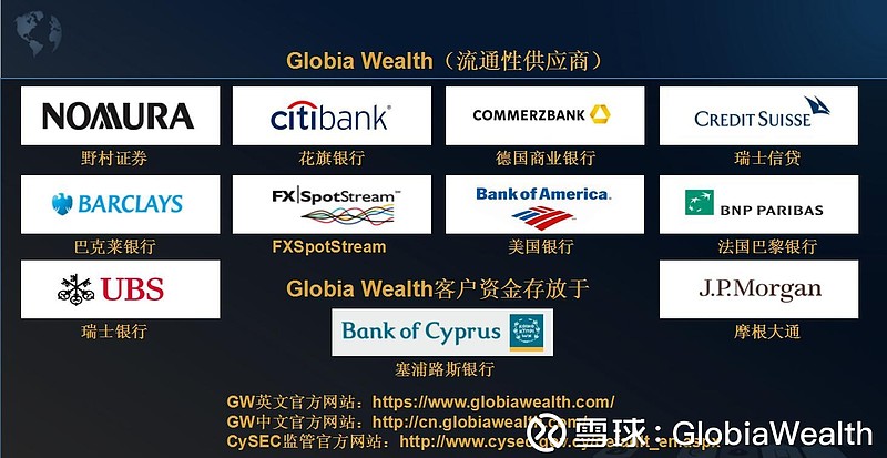 大的外汇平台(外汇大平台就那几家)