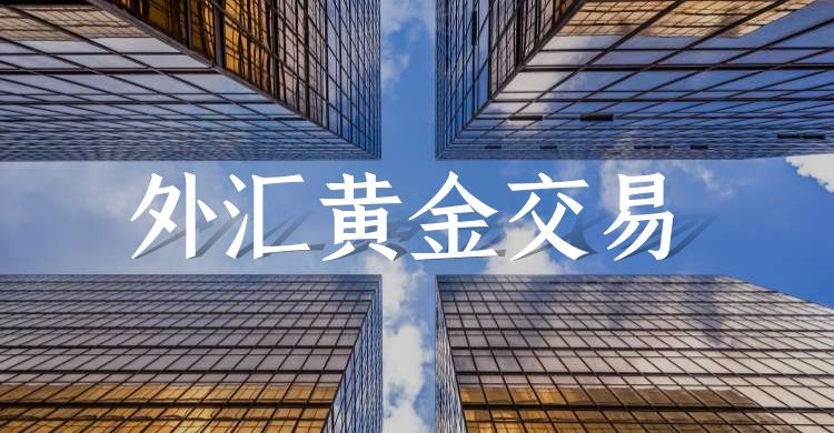 国际正规外汇平台(外汇正规平台ghc)
