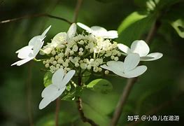 银行境外汇款手续费(建设银行境外汇款手续费)