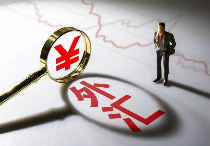 外汇管理公司(外汇管理公司是国企吗)