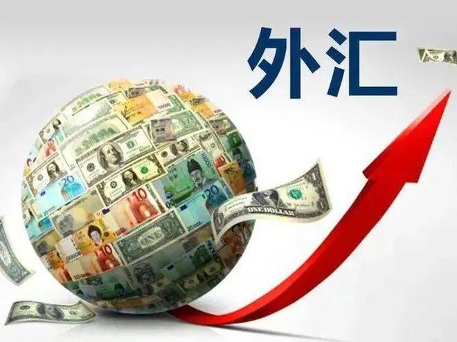 外汇风险大(外汇风险大还是永续合约风险大呢)