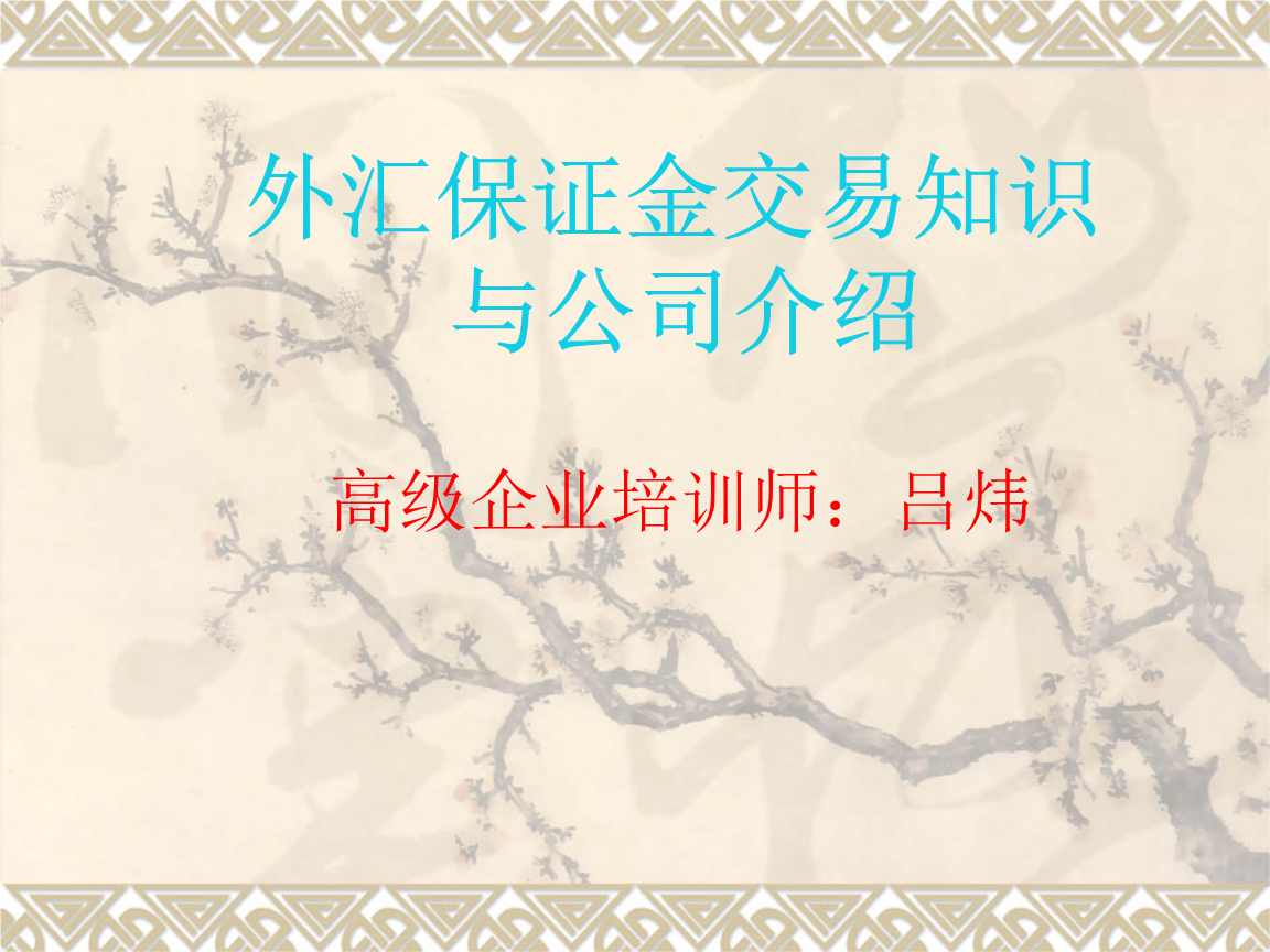 保证金外汇交易(保证金外汇交易的出入金承兑商)
