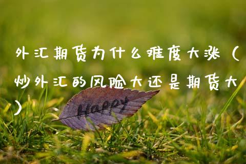 外汇风险大(外汇风险大还是股票风险大)