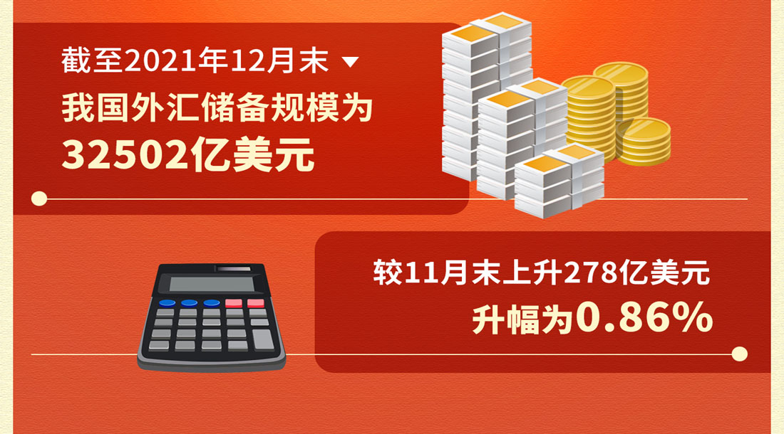 外汇年报(外汇年检报告)
