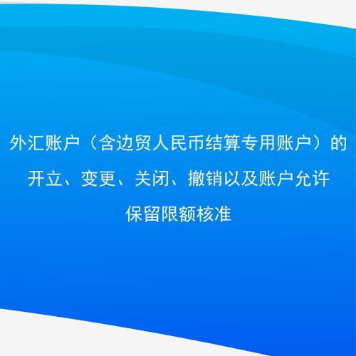 开立外汇账户(开立外汇账户前需登录外管局查询企业基本信息)