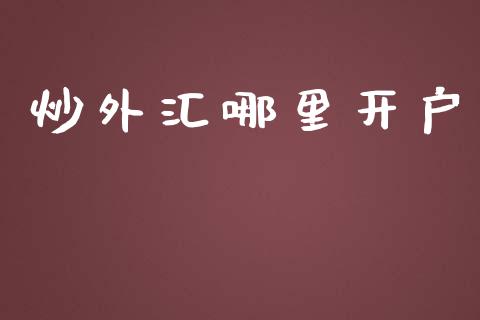 炒外汇在哪开户(炒外汇开户平台哪个好)