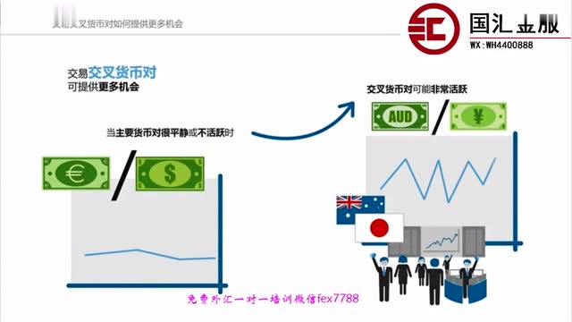 炒外汇在哪开户(炒外汇开户平台哪个好)
