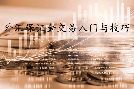 保证金外汇交易(外汇的保证金交易)