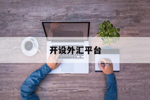 开设外汇平台(开设外汇平台的目的)