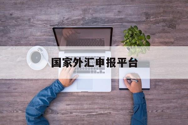 国家外汇申报平台(国家外汇申报平台官网)