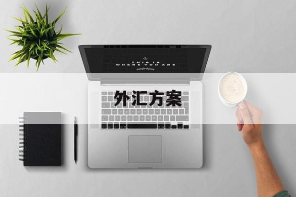 外汇方案(外汇营销方案)